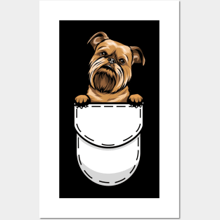 Funny Brussels Griffon Pocket Dog Posters and Art